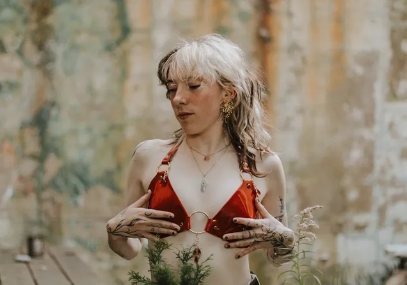 BasiK Layered See Thru & Matte Red Bra