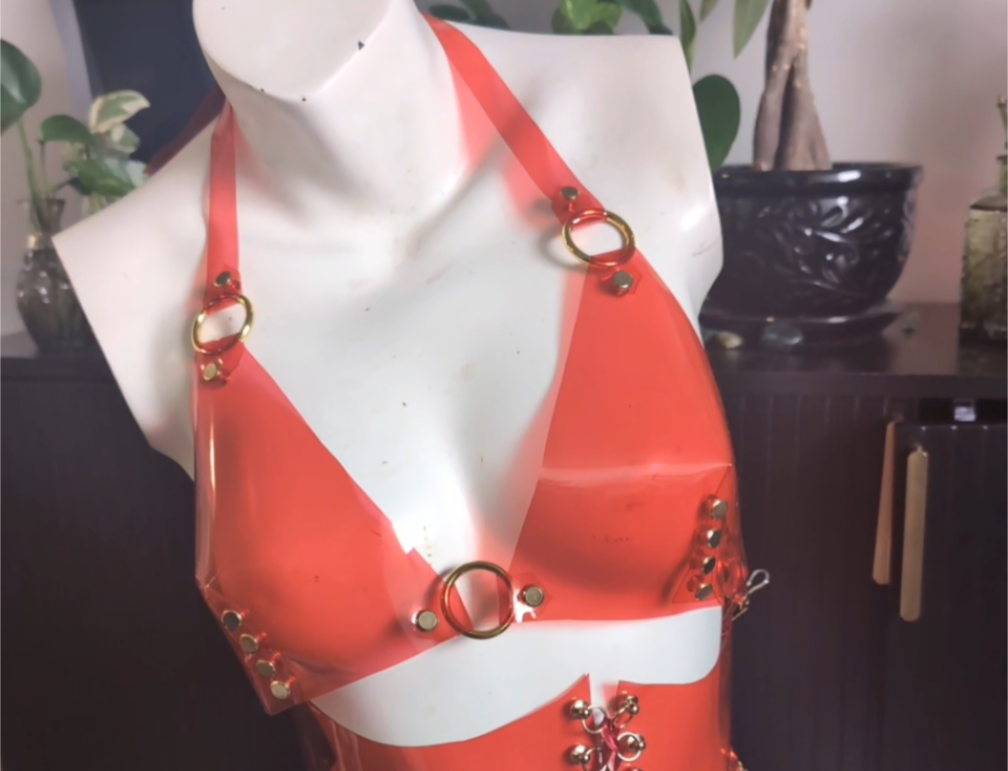 BasiK See Thru Bra